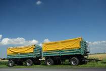 Dieses schöne Paar stand im Juli 2015 in Seestermühe.