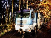 MAN TGA33-480 fährt am Waldweg der Herbstsonne, bzw. seinem Ladegut entgegen; 161104