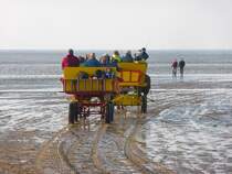 Zwei Pferdekutsche auf dem Weg durchs Watt zur Insel Neuwerk; Sahlenburg, 11.9.2015