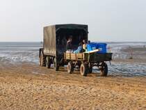 Ein Trecker-Gespann auf dem Weg durchs Watt zur Insel Neuwerk; Sahlenburg, 11.9.2015