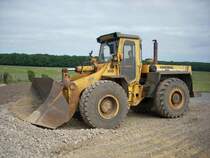 Hanomag 55D aufgenommen am 29.06.2008