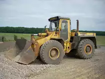 Hanomag 55D aufgenommen am 29.06.2008