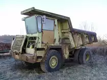 Faun K 24 aufgenommen am 10.02.2008