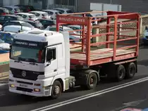 13.01.2017,MB in Santa Cruz de Tenerife.