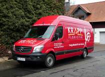 =MB Sprinter von  Krapp - Floristik  steht im Februar 2017 in Petersberg-Marbach