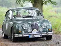 Ein Jaguar MKII 3,8 L im August 2012