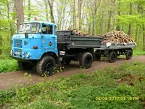 W50la und THK 5-1 Holztransport 2017.Anhänger neu Aufgebaut.