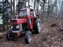 MF178 zieht mittels Seilwinde geschl�gerte Fichten aus unwegsamen Waldgebiet; 090102