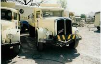 Zirkus Royal TG 15'344 Berna in Thun, Lachenwiese