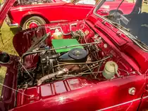 Motorenraum eines Renault 4L (850ccm, 27Ps), fotografiert auf der XII. Lotus Retro Mobil Concours d´Elegance im Urpark des Lotus Hotels, Juni, 2017.