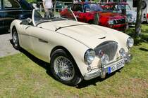 Austin Healey 3000 auf dem Oldtimer-Treffen an der Rennbahn in Krefeld, 8.5.16