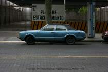 Knutsen Taunus am 13.Okt.2008 in Mendoza