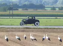 Unbekannte Schönheit vermutlich Ford unterwegs bei Bellach am 03.09.2017