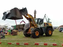 Liebherr 566 Radlader am 24.09.17 beim Hafenfest im Bayernhafen Aschaffenburg