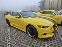 Ford Mustang beim Internationalen Mustang Meeting in Ettelbrück (Lux.), 15.10.2017