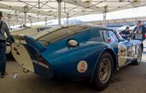 Shelby Daytona Rückansicht. Eins von sechs. Foto: Hungaroring Classics am 01.10.2017.