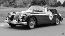 Ein Teilnehmer der ADAC Sunflower Rallye im August 2012 war dieser Jaguar XK150.