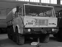 Ein Tatra 813 8x8 im Technik Museum Pütnitz. (August 2006)