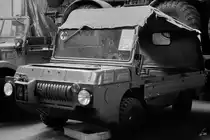 Ein LuAZ 967M Verwundetentransportfahrzeug im Technik Museum Pütnitz. (August 2006)