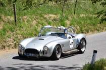 AC Cobra bei einem Club-Ausflug, Pfänderstraße (2017-06-17)