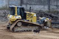 Katz' und Hund: Cat(erpillar) D6N Planierarupe und ein Streuner, in Kolpino am 28.10.17