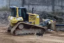 Katz' und Hund: Cat(erpillar) D6N Planierarupe und ein Streuner, in Kolpino am 28.10.17