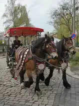 Eine Pferde-Droschke im April 2017 in Dresden.