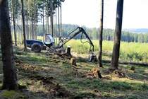 Harvester (Rottne H20) im Forsteinsatz am 18.04.2018 bei Möhnesee Wilhemsruh.