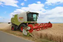 Claas Lexion beim Weizen Dreschen am 10.07.18 in der nähe von Maintal Wachenbuchen