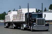 Peterbilt 379 auf einem Truck Stop an der I 5 in Washington. August 2008