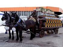 Brrrr, ruft der Kutscher den beiden Pferden zu, welche das mit Freibier vollbepackte Gef�hrt anl�sslich des Faschingumzuges ins Volksfestgel�nde gekarrt haben; 090215