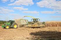 TKB Kellner John Deere 6215R mit Häckselwagen und John Deere 8500i am 01.09.18 bei Frankfurt Bergen