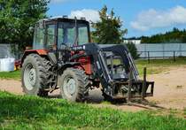 =Belarus 820 steht in September 2018 im Tigerpark Dassow