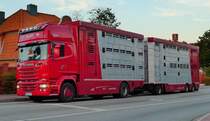 =Scania als Tiertransporter rollt durch Ratzeburg im September 2018