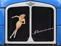 Kühlergrill eines S4000-1 (Bad Frankenhausen, September 2018)