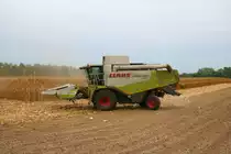 Claas Lexion mit Claas Conspeed 6-75C Schneidwerk beim Ernten von Maiskörnen am 13.09.18 bei Kleinostheim 