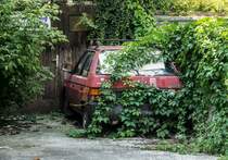 Skoda Favorit im  Dschungel . Aufnahmezeit und Standort: 18.08.2018, Ljubljana.