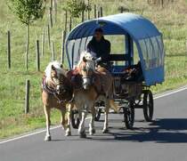 =Haflingergespann unterwegs in Hünfeld-Großenbach im September 2018