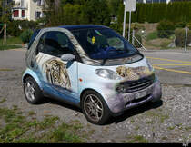 Bunter Smart in Triengen am 25.09.2018