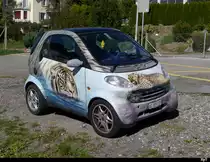 Bunter Smart in Triengen am 25.09.2018