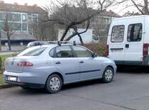 Seat Cordoba (Ibiza mit Rucksack), von hinten.