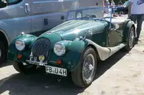 =Morgan steht am Baiersröder Hof im August 2018