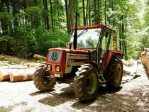 LINDNER 1450A,Leistung 48PS, Hubraum 2502 cm³;  wird zu Holzarbeiten herangezogen; 180523