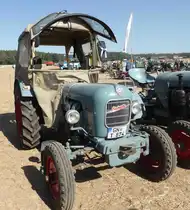 =Eicher Tiger, gesehen am Baiersröder Hof im August 2018