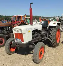 =David Brown, ausgestellt am Baiersröder Hof im August 2018