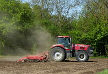 Allradschlepper Case 250 mit Federzinkenegge bei der Feldbestellung, April 2018