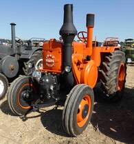 =Pampa, ausgestellt am Baiersröder Hof im August 2018