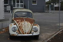 Schrottkäfer-Bild zwei von vorne aufgenommen. 1.12.2018