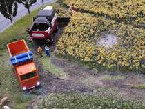 Ein Rostselmasch-Mähdrescher und ein KAMAZ-Kipper bei der Sonnenblumenernte auf der Modellbahn  Grand Maket Rossia , St. Petersburg, 15.10.2017 