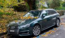 2016-er Audi S4 Avant in grün in Zürich-Hottingen am 09.11.2018.